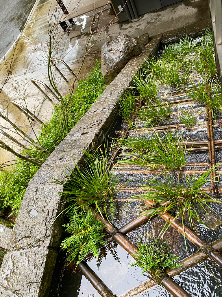 Bamboo covering drainage areas Portland Japanese Garden Flickr