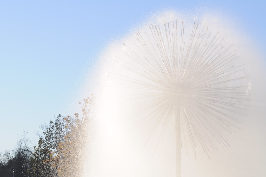 Houston January Flickr