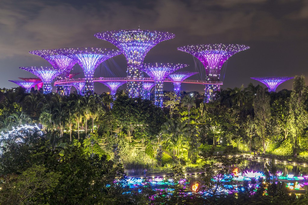 Singapore Gardens by the Bay and Supertrees This night pho… Flickr