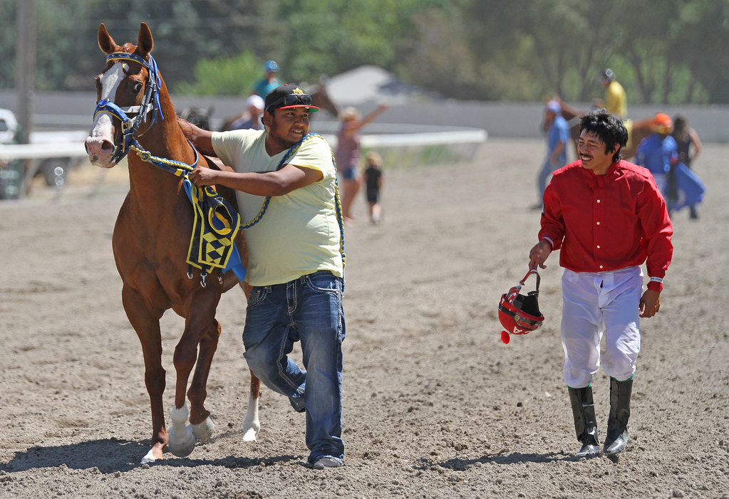 Elko Nevada Horse Races at Woodrow Kidd blog
