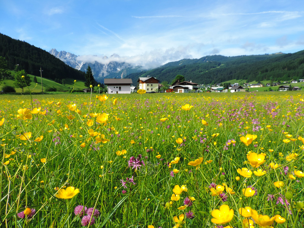 Best Late Spring Hikes In Central (Or Eastern?) Europe Our Wanders