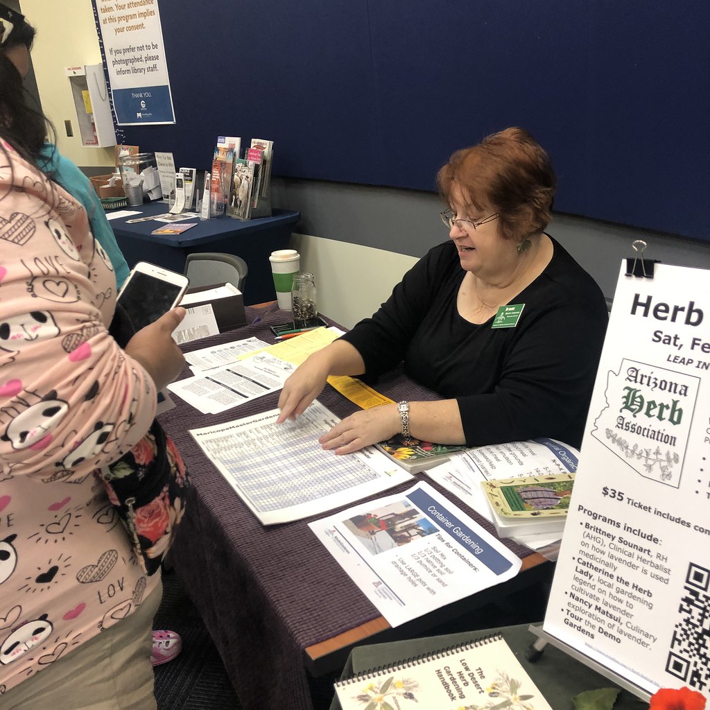 IMG_1482 Chandler Public Library Flickr