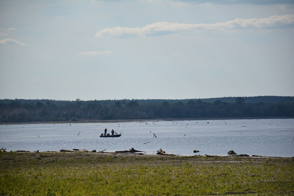 Florida Trail, Rodman to Buckman Lock Flickr