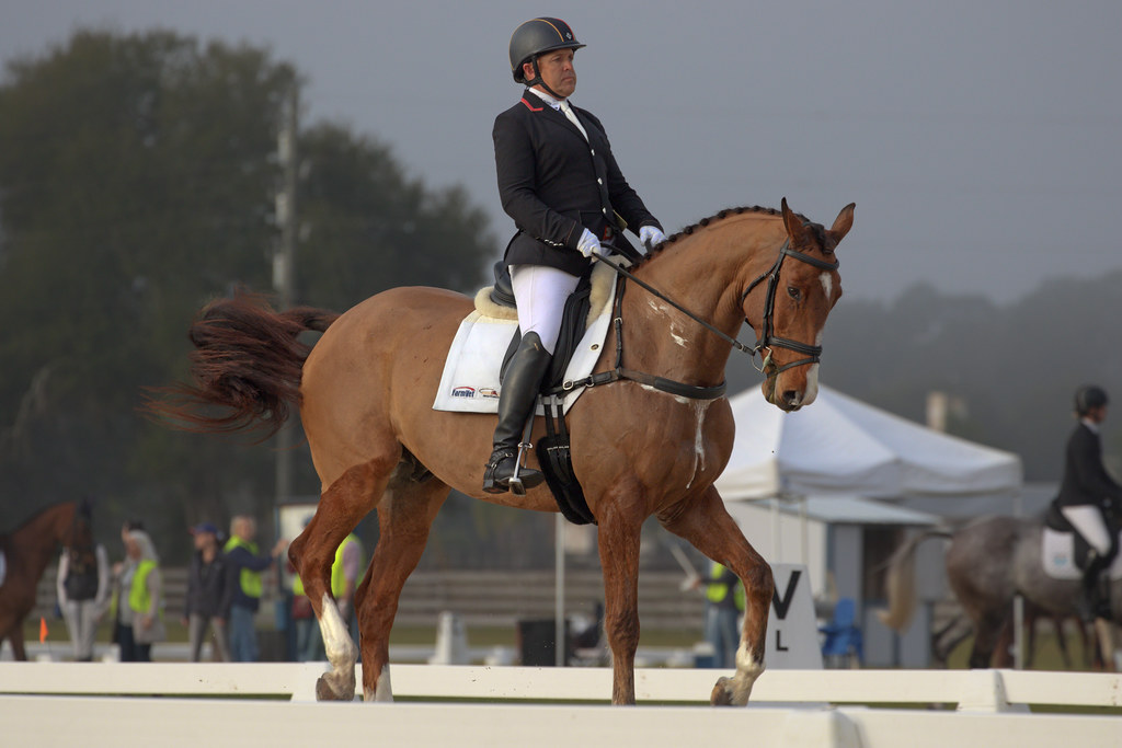 Buck Davidson, Jr. Rocking Horse, Altoona, Florida Jim Eichstedt