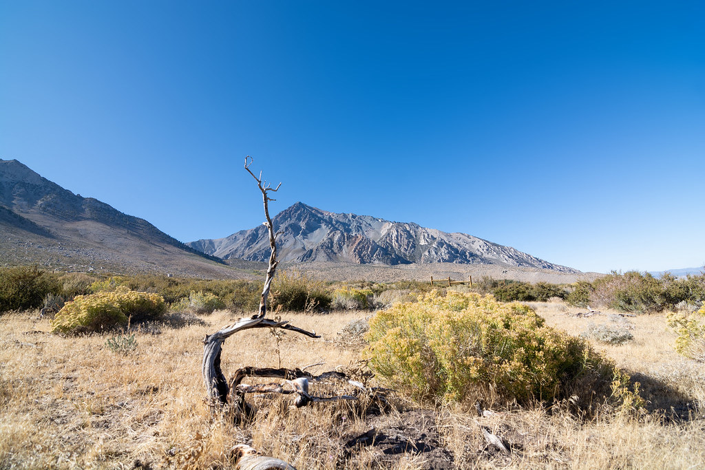 395 Autumn in Aspendell, California Aspendell, CA. Higher … Flickr
