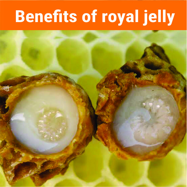 Benefits of royal jelly a photo on Flickriver