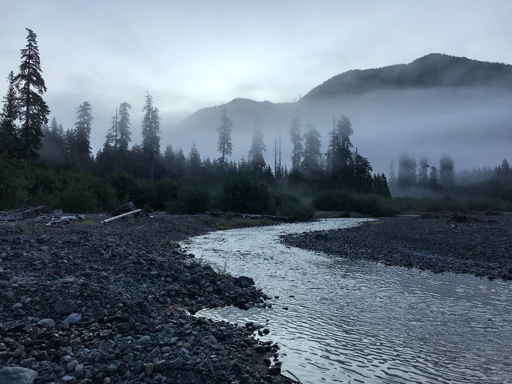 Olympic_Misty Wynoochee River. Photo by Tharon Snuggs, USF… Flickr