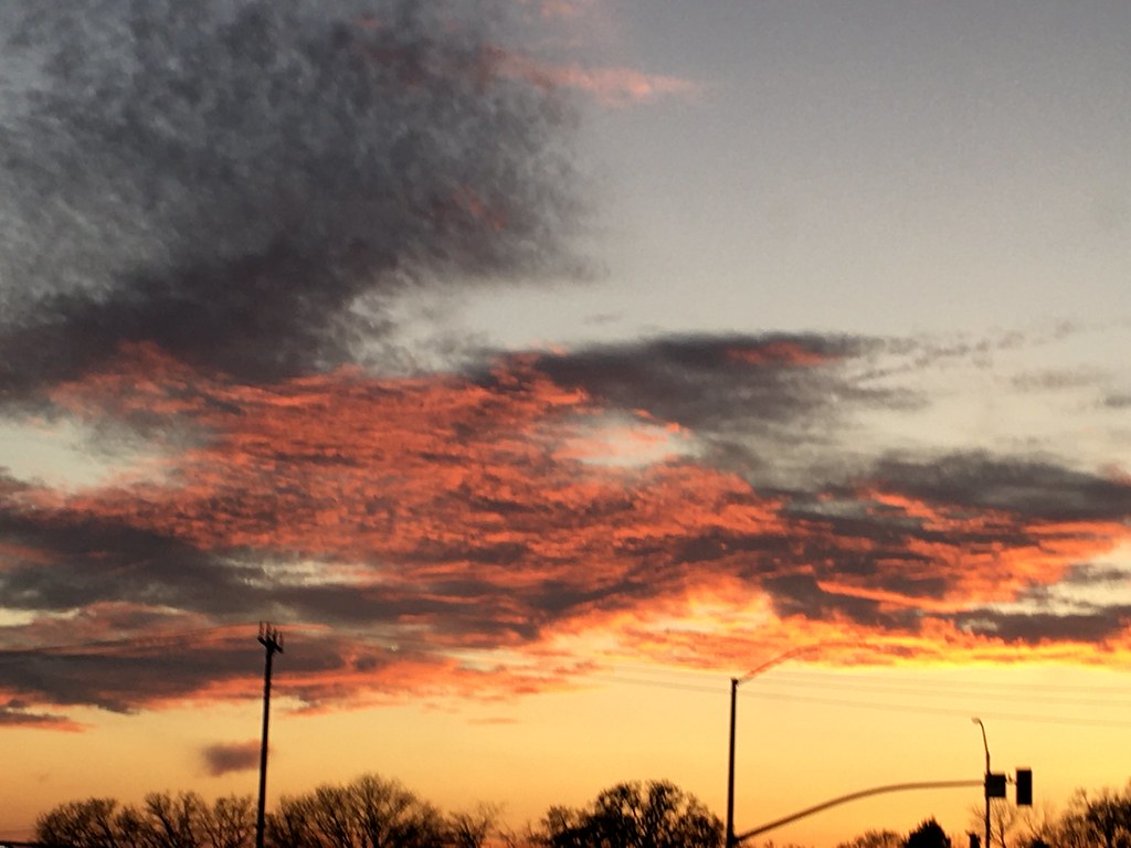 Elk Grove 2020 Flickr