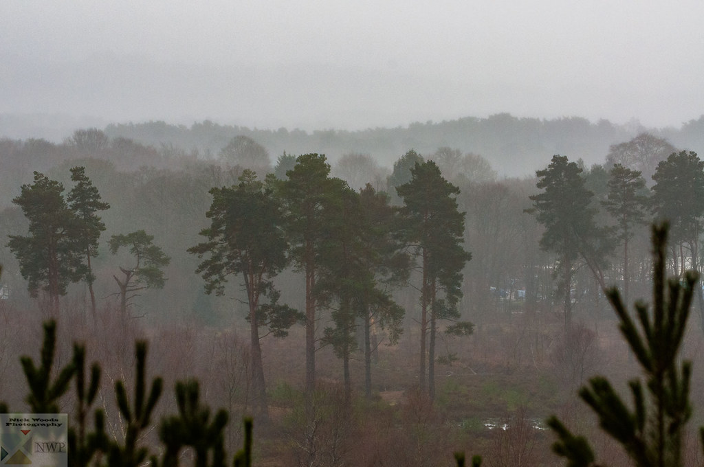 FHRSPBJan20_DSC2337 View from the ridge at Farnham Heath R… Flickr