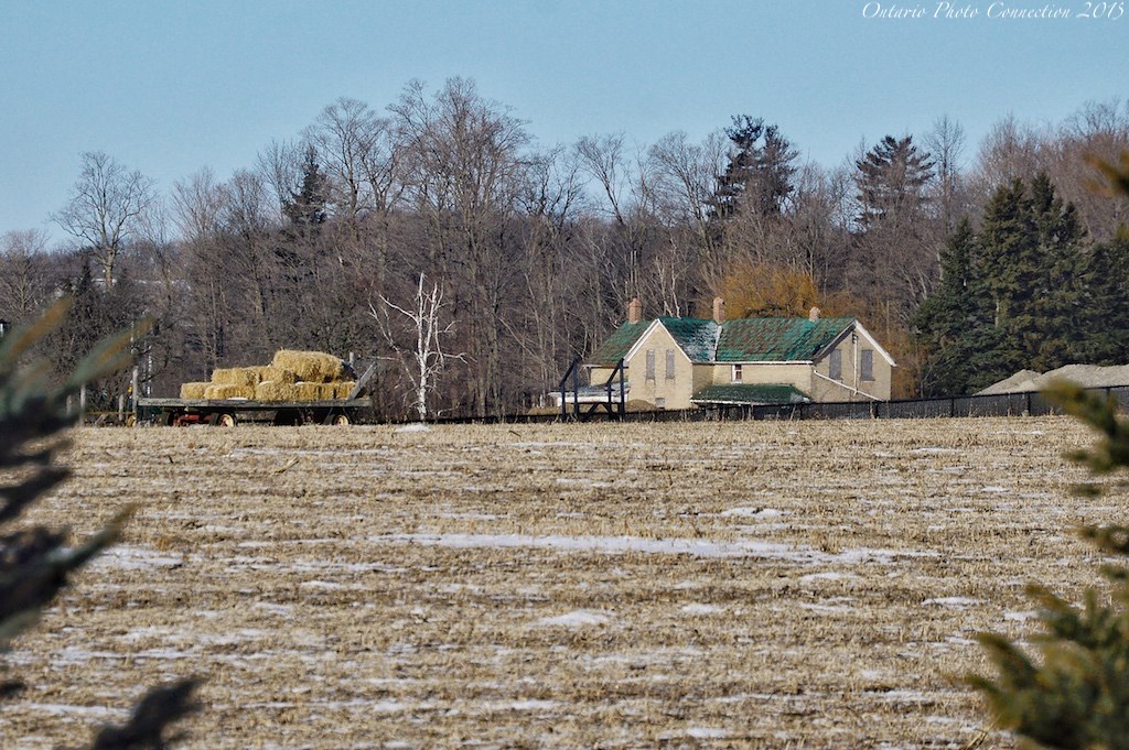 10375 Gormley Ontario ontario photo connection Flickr