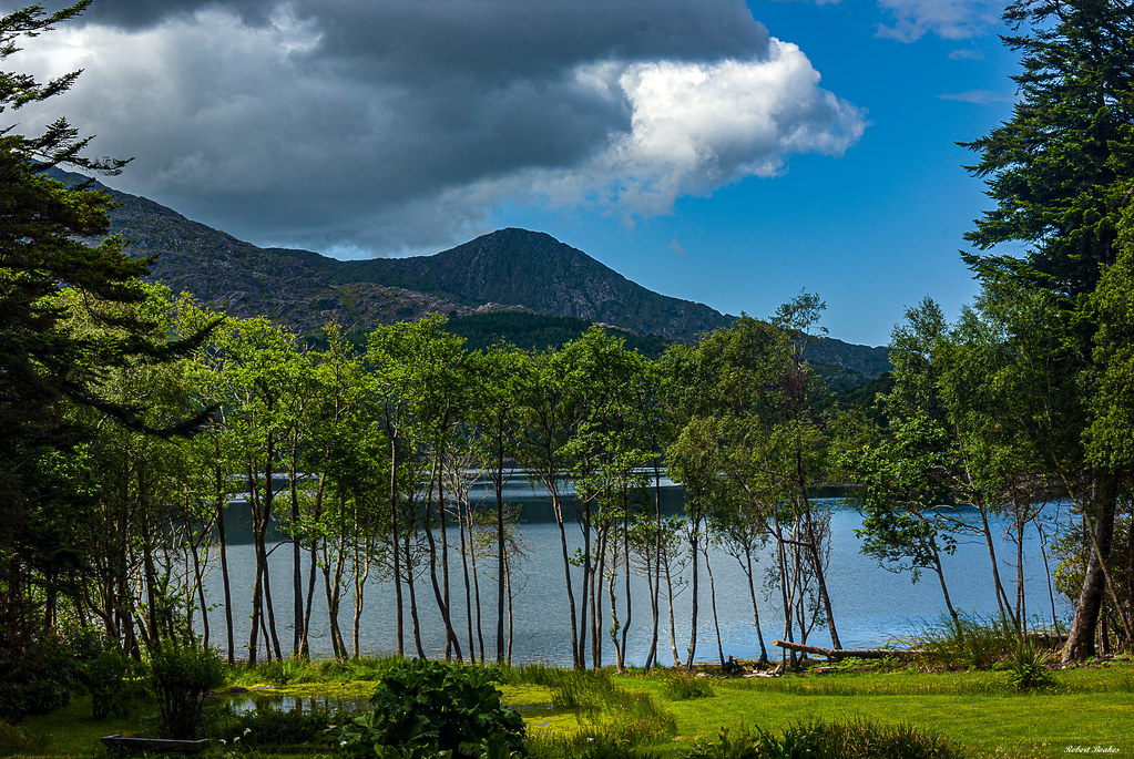 140627593 Derreen Garden, Beara Peninsula Xeraphin Flickr