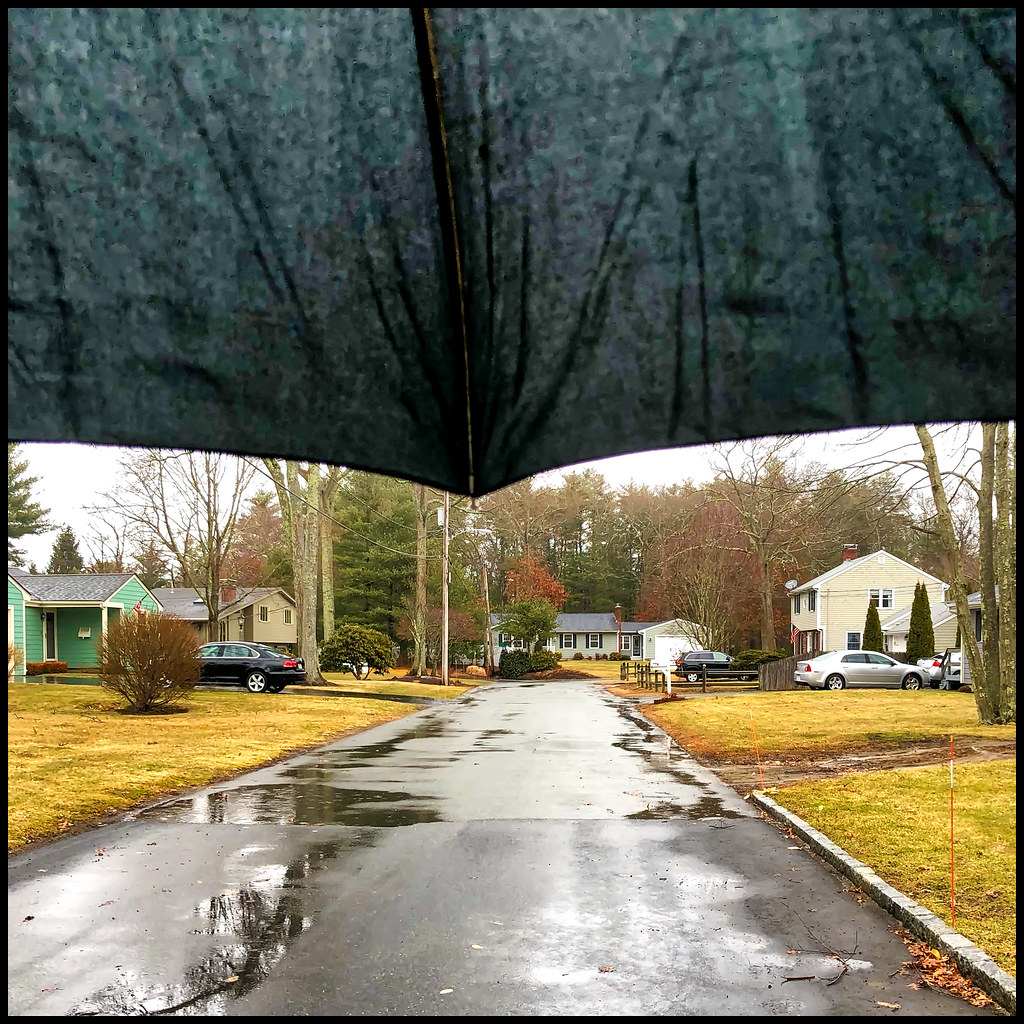 National Umbrella Day 2020041 HNUD Timothy Valentine Flickr