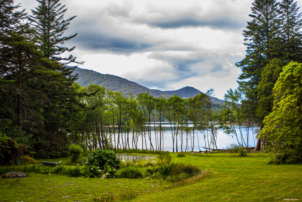 140627594 Derreen Garden, Beara Peninsula Xeraphin Flickr