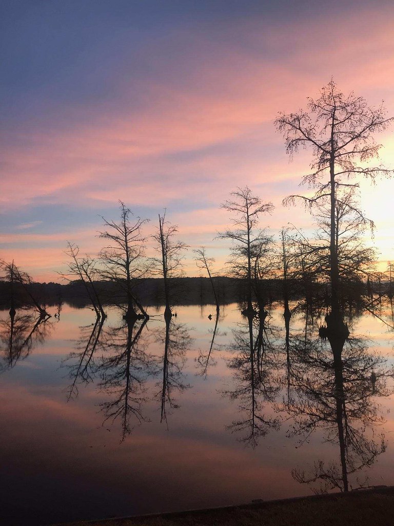 Lake Bundick, Deridder Louisiana Submitted by Cheri Courtn… Flickr