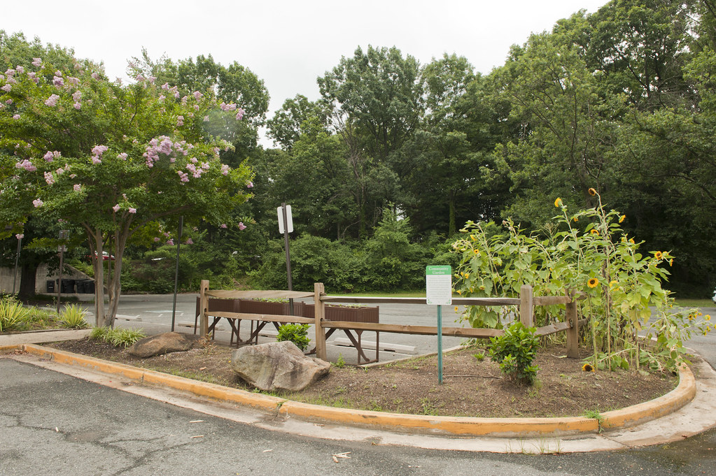 Takoma Park Rec Center2016_317 Photo by Francine Bethea, 2… Flickr