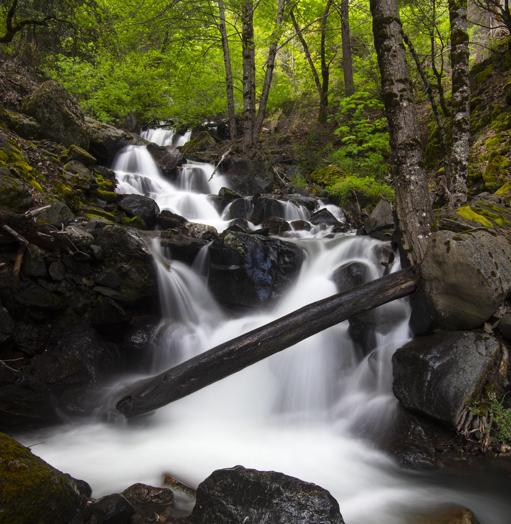 Mendocino National Forest, Mendocino County. CA, May 2019 Flickr