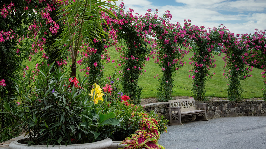 Flower arches Beautiful decoration of flowers arches at Lo… Flickr