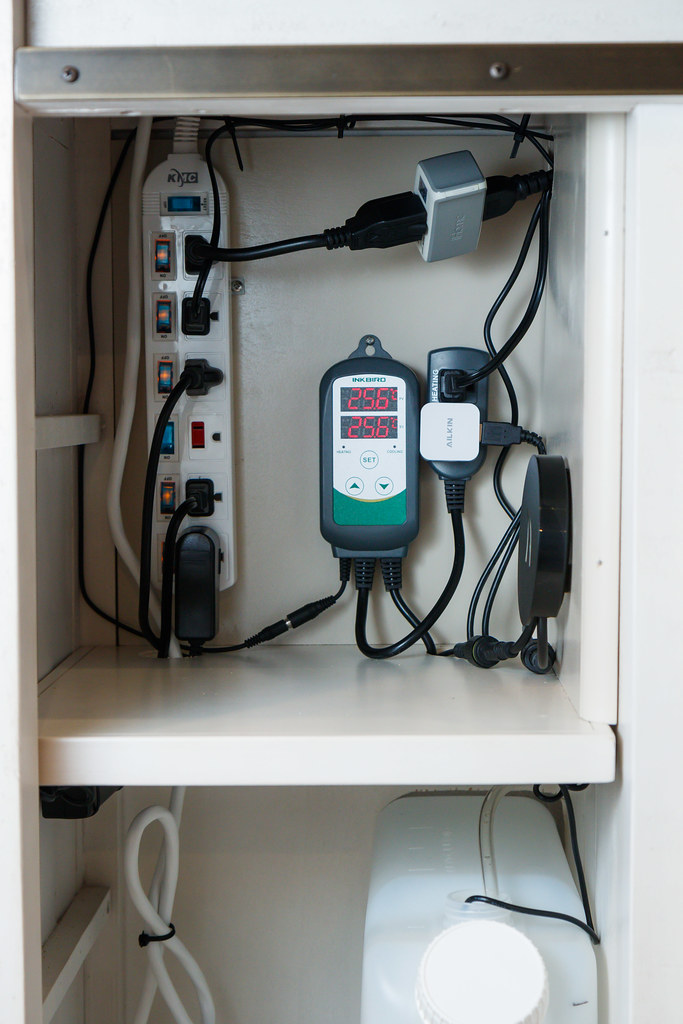 Wire Management Tips for Your Aquarium SpecTanks