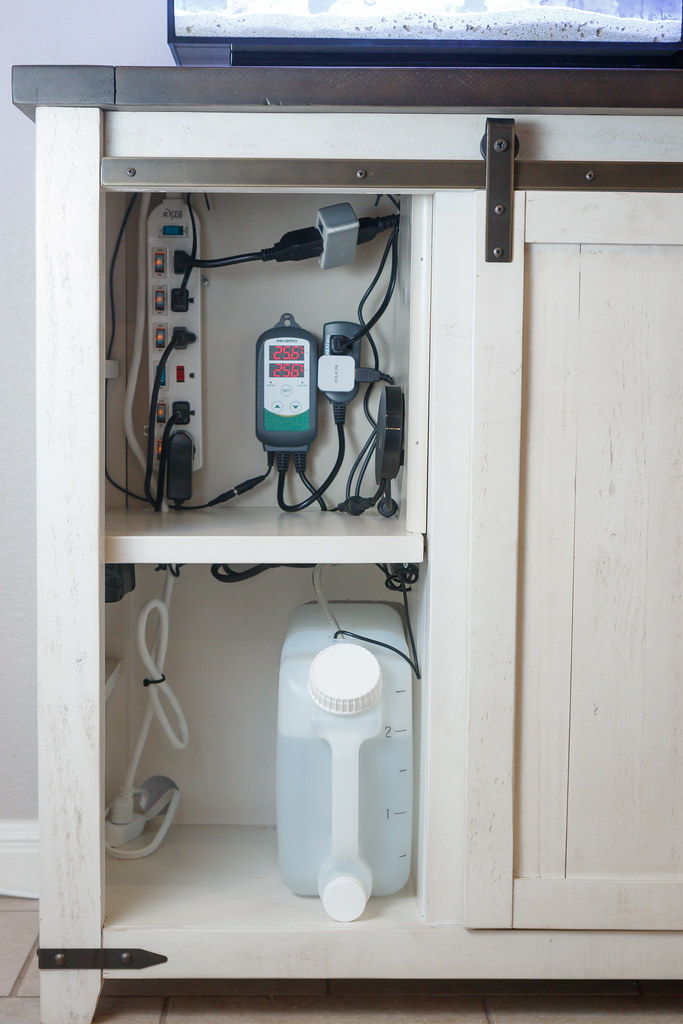 Wire Management Tips for Your Aquarium SpecTanks