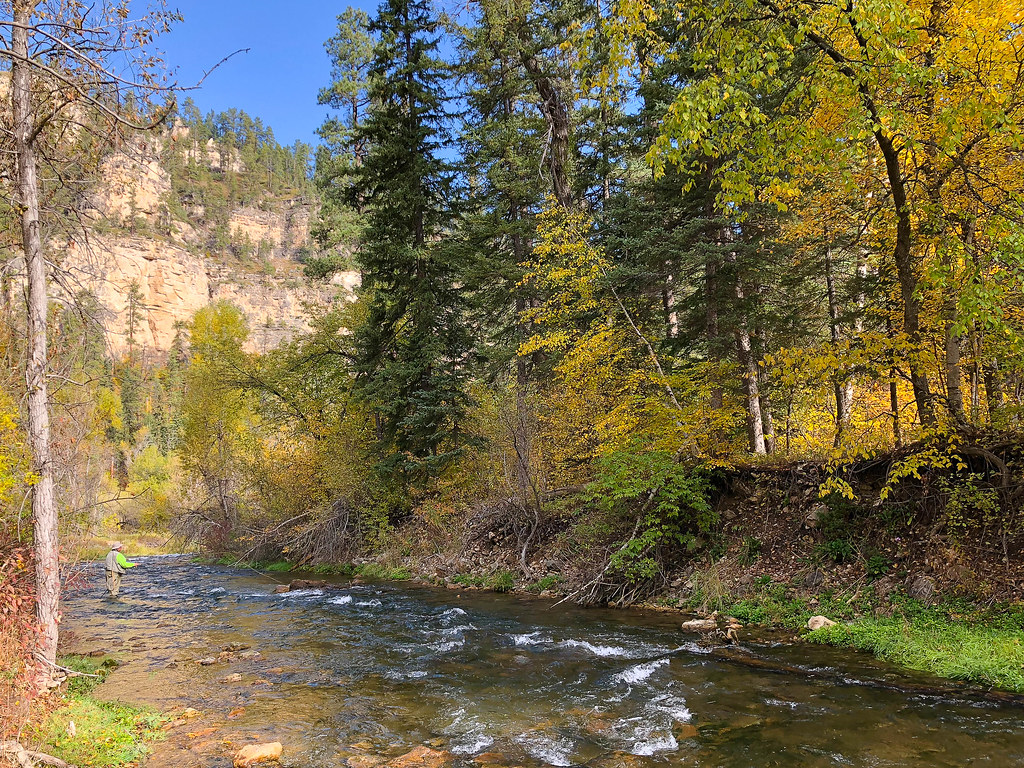 Fly fishing in Spearfish Canyon during fall (photo by B. … Flickr