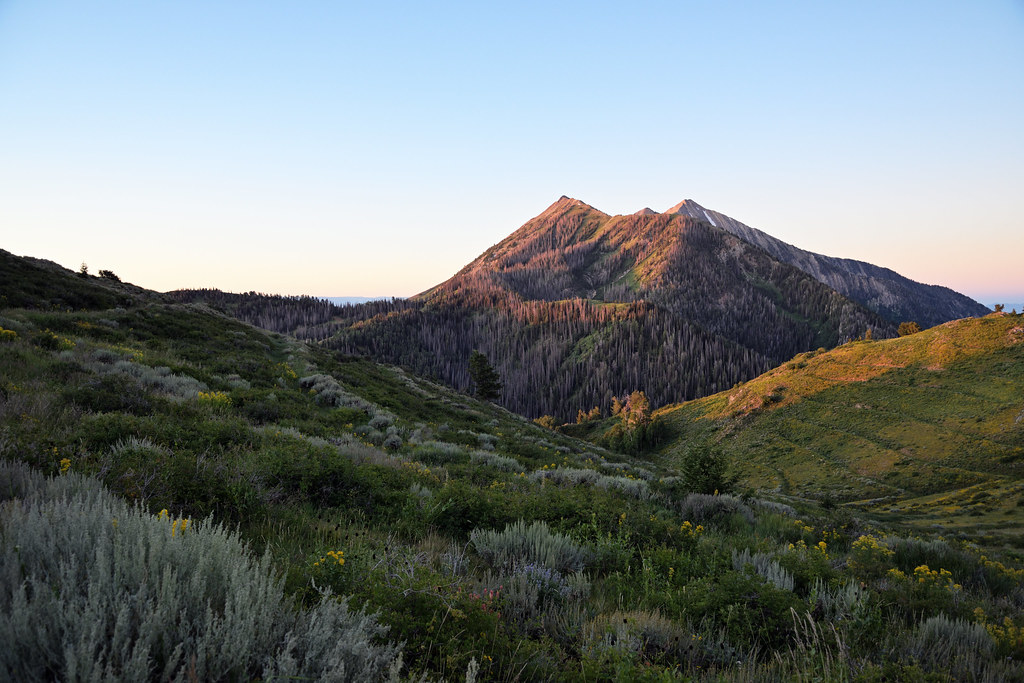 In Mount Nebo Wilderness, 2019 Brandon Rasmussen Flickr