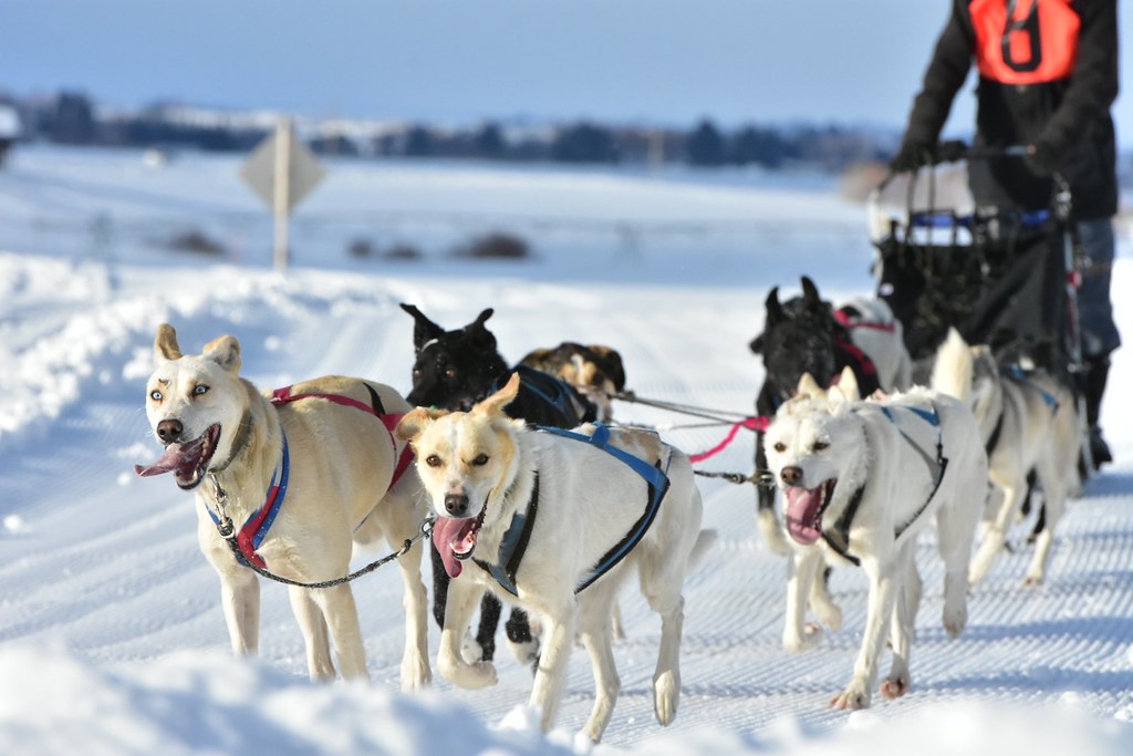 Ashton Idaho today It was cold yet fun today in Ashton Ida… Bill