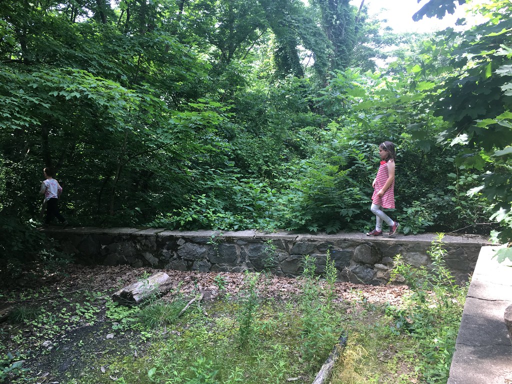 IMG_5626 The Wall in Allandale Woods, Boston, MA Ed Lyons Flickr