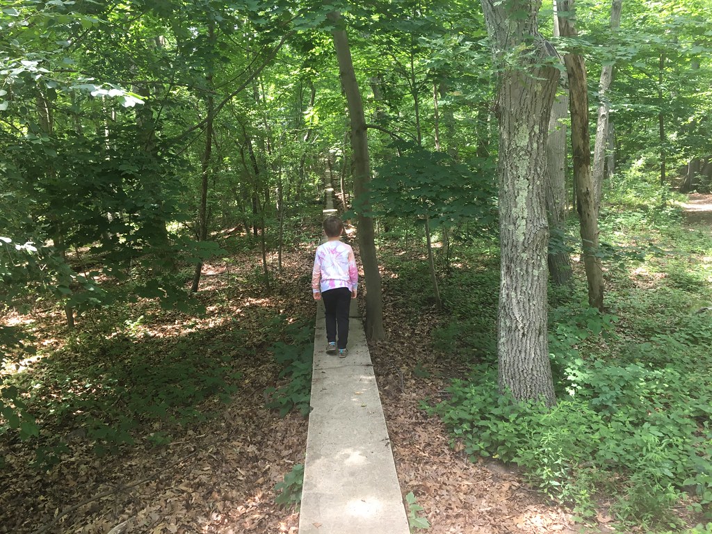 IMG_5600 The Wall in Allandale Woods, Boston, MA Ed Lyons Flickr