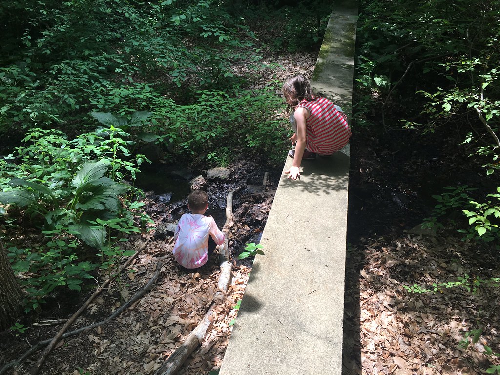 IMG_5661 The Wall in Allandale Woods, Boston, MA Ed Lyons Flickr
