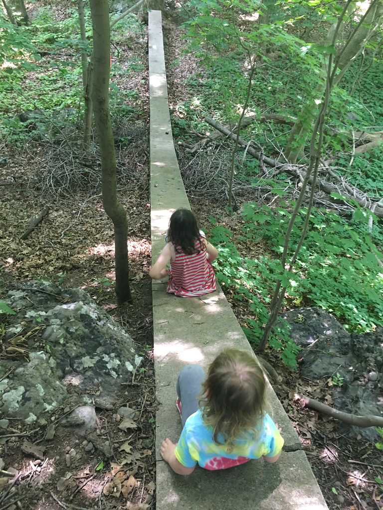 IMG_5642 The Wall in Allandale Woods, Boston, MA Ed Lyons Flickr