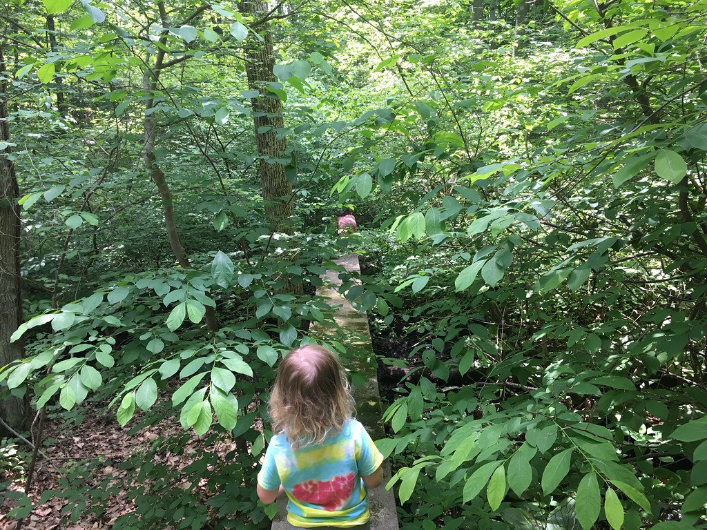 IMG_5666 The Wall in Allandale Woods, Boston, MA Ed Lyons Flickr