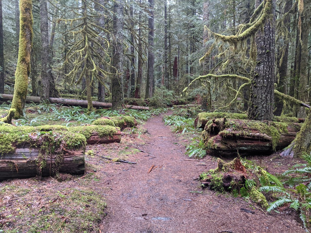 Salmon River Trail, Oregon graham Flickr