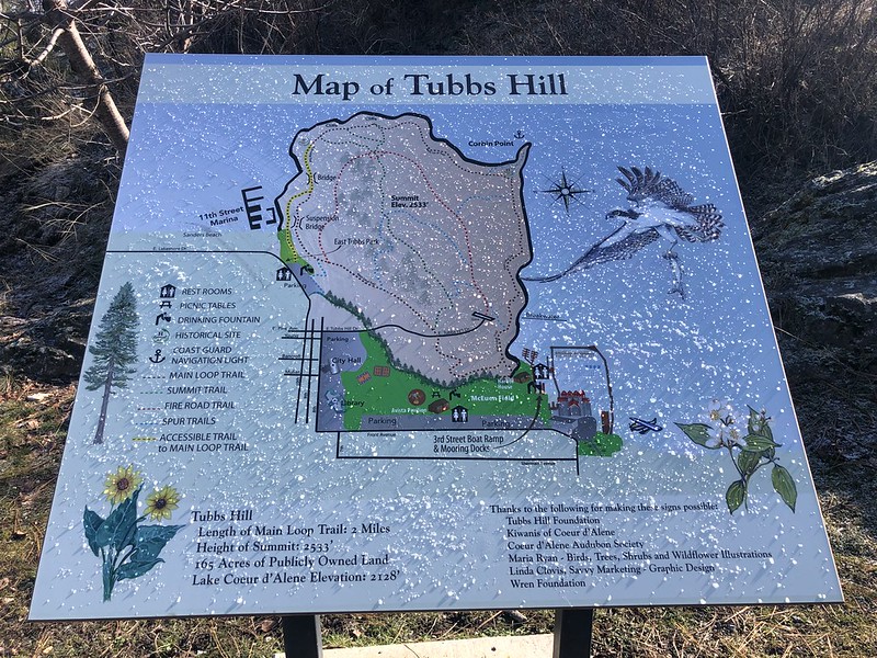 Hikes in Idaho The Tubbs Hill Loop Trail On Walkabout