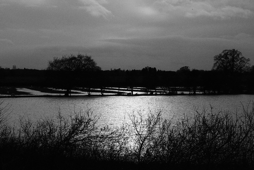 Water, Trees and Ridges Richard Maguire Flickr