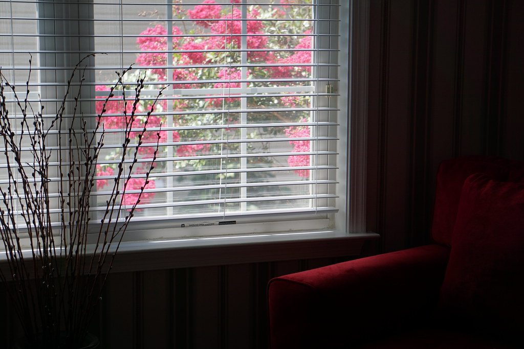 Chiswell Living Room 2019 Lorraine DeLuca Flickr