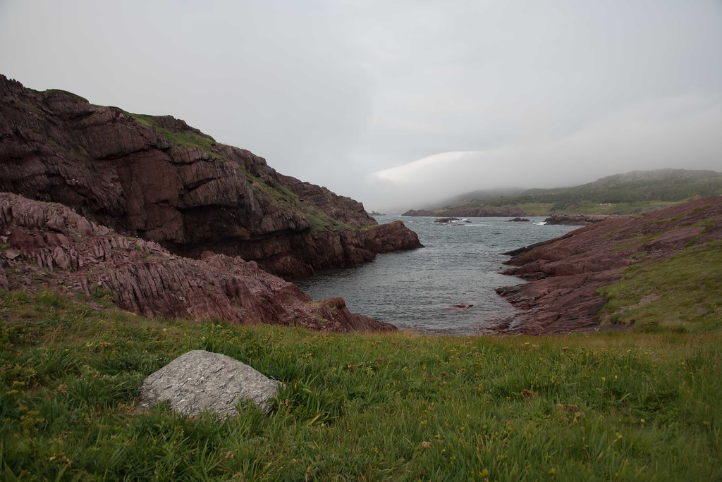 Newfoundland6472 Tickle Cove Ricey Flickr