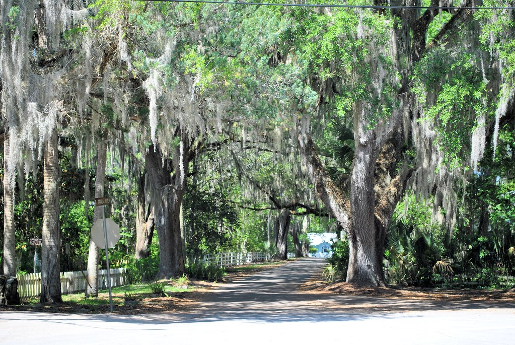 MICANOPY FL STREET NE OCALA AVE NRHP 83003512 MICANOPY … Flickr