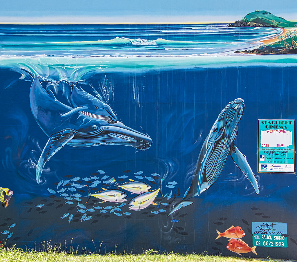 Street Art Cabarita Street art, mural Cabarita Beach New S… Flickr