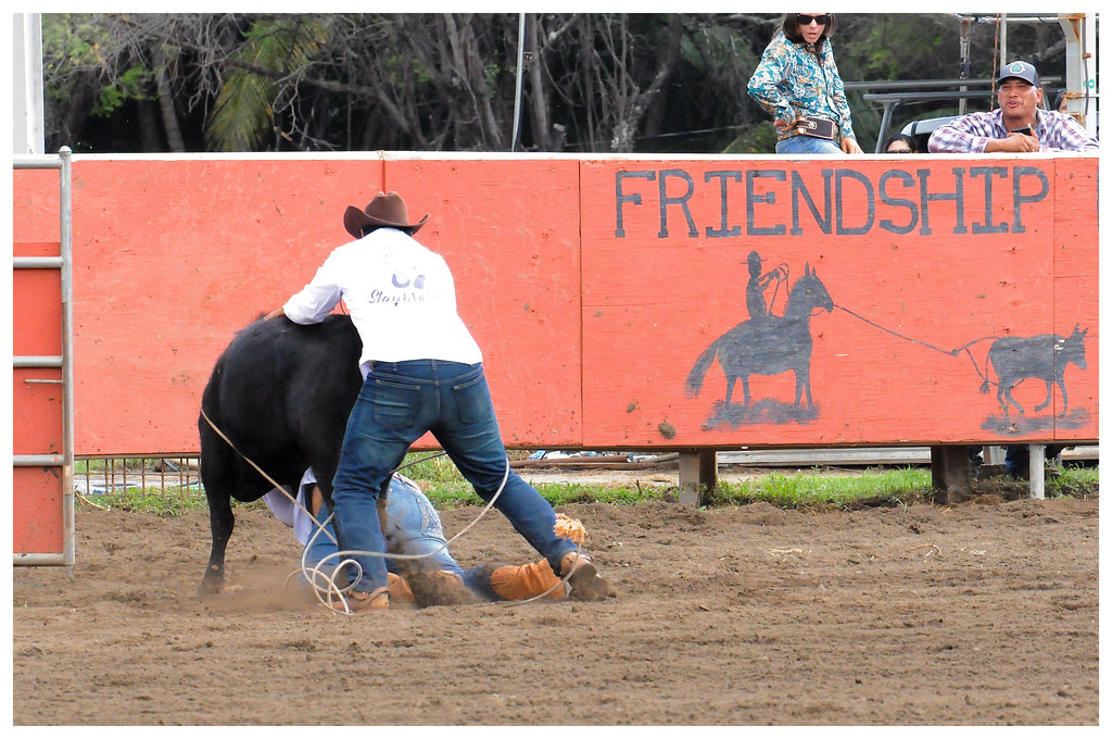 7448 Kaua'i Paniolo Showdown 2020 Waimea rodeo Double mugg… Flickr