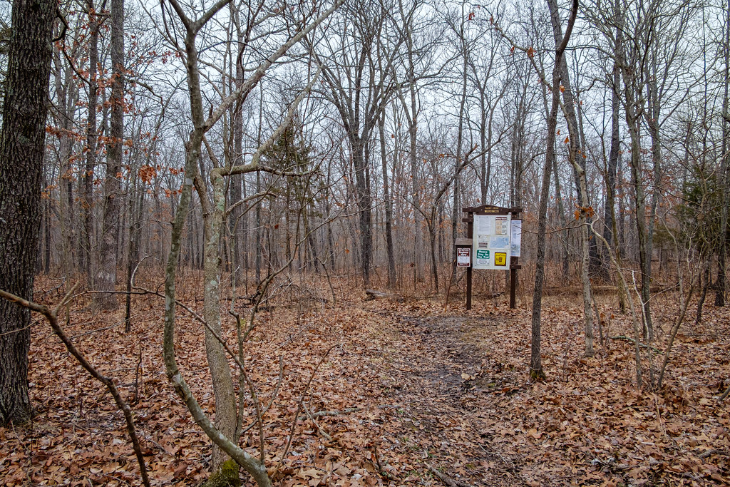 Elevation of Plato, MO, USA Topographic Map Altitude Map