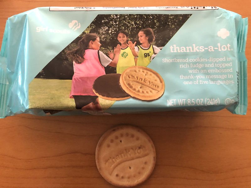 Girl Scout Cookie Showdown ABC vs. Little Brownie Candace Lately