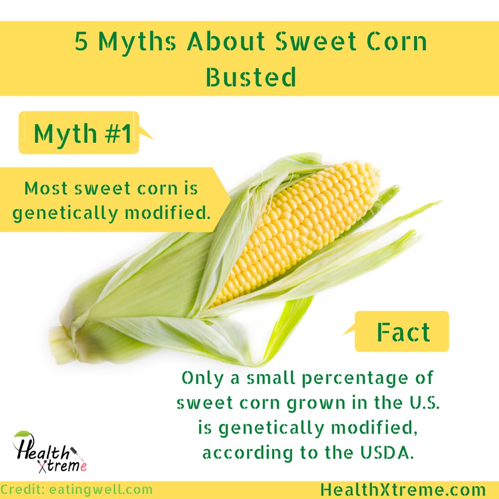 5 Myths About Sweet Corn Busted🌽🌽 Myth 2 Eating corn w… Flickr