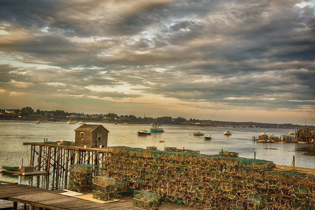 Beals Island Maine 9_11_19 Photo 3a David Gill Flickr