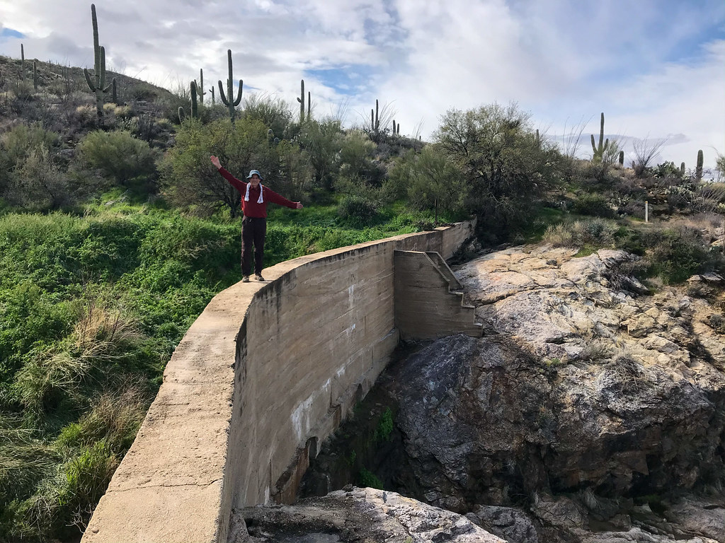 Saguaro National Park Garwood Dam Monty VanderBilt Flickr