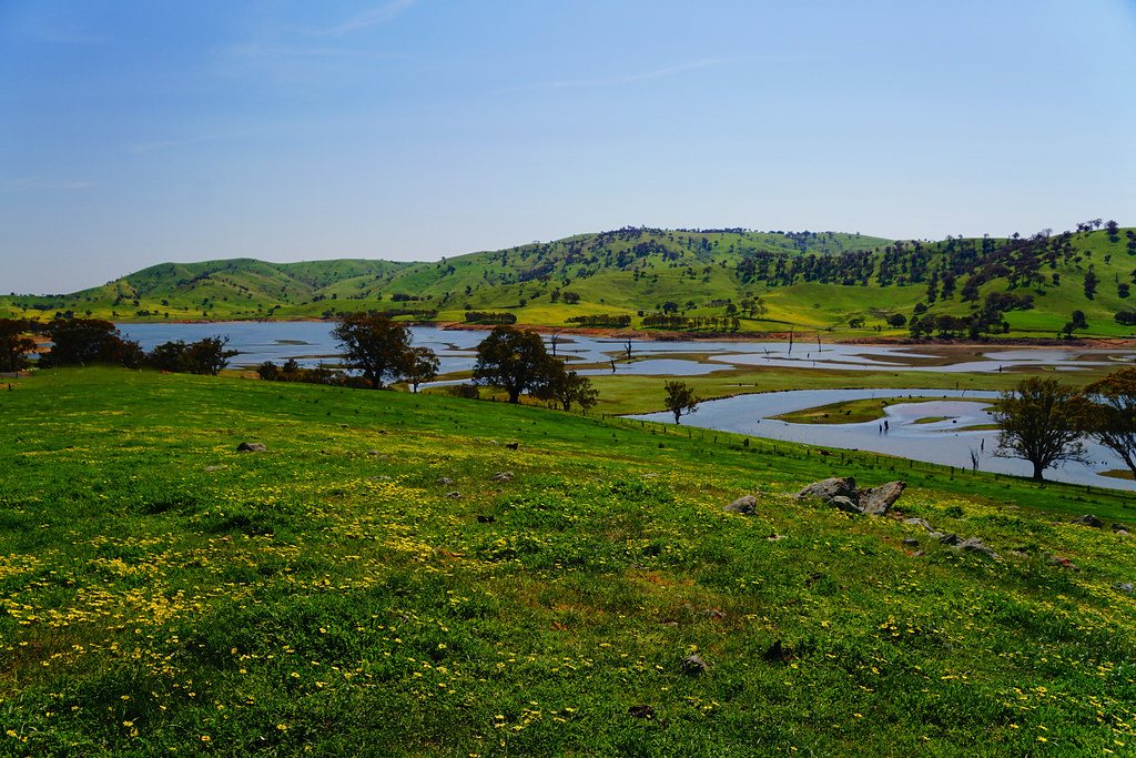 The Weir Hume Weir at Tallangatta Vic David Gordon Flickr