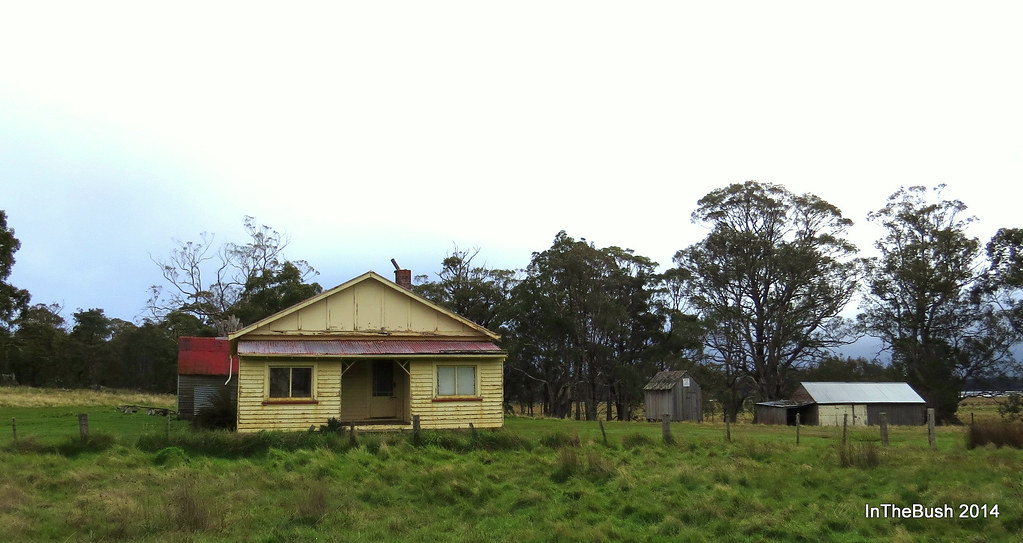 Interlaken, Tasmania 2014 InTheBush* Flickr