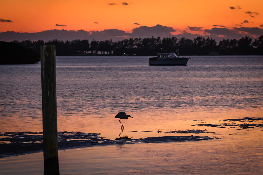 blissful tranquility 1 Nancy Flickr