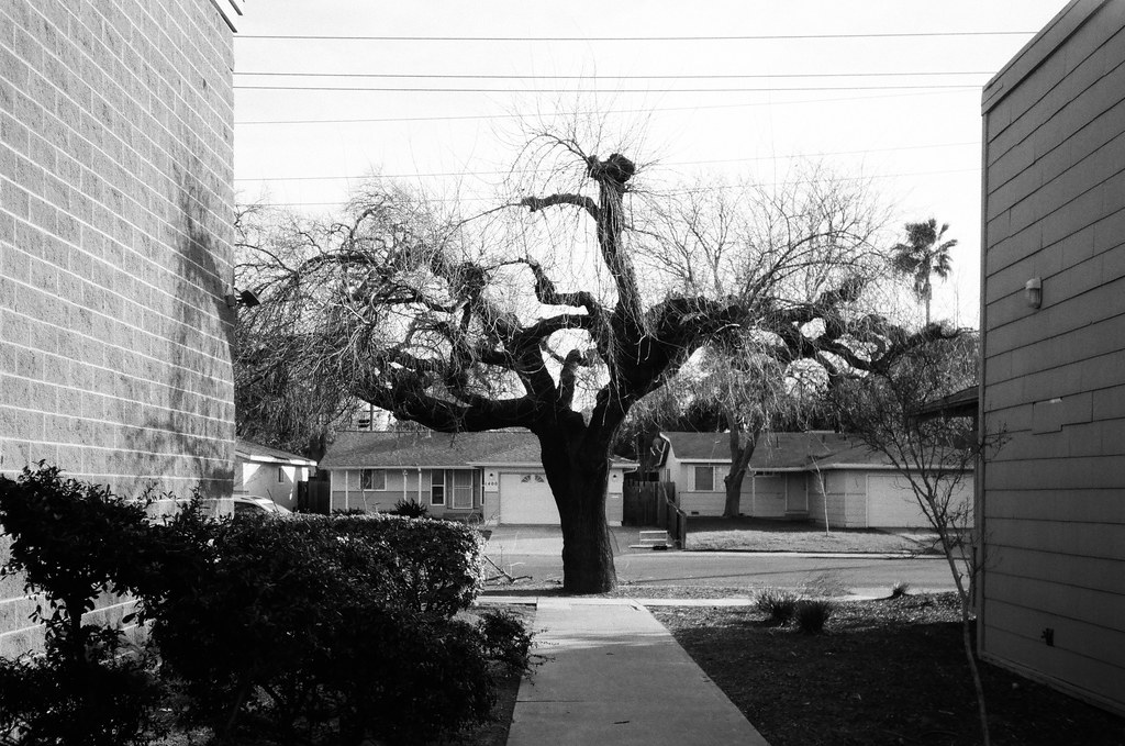 misc. (Davis CA) Minolta AF150BF & Ilford FP4+ Alexander Kozik Flickr