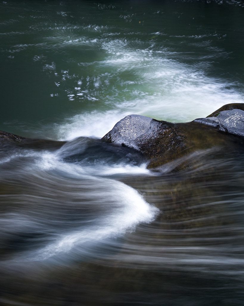 Grande Riviere Sud Est Detail Having visited and photogr… Flickr