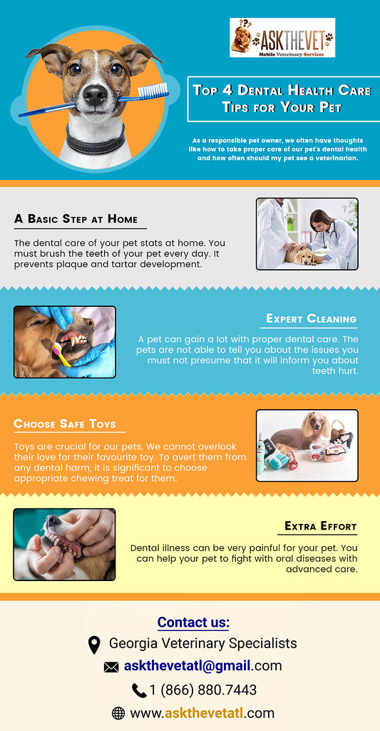 Choose Affordable Pet Dental Specialist If you are looking… Flickr